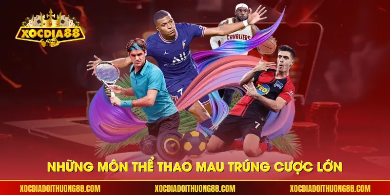 Những môn thể thao mau trúng cược lớn